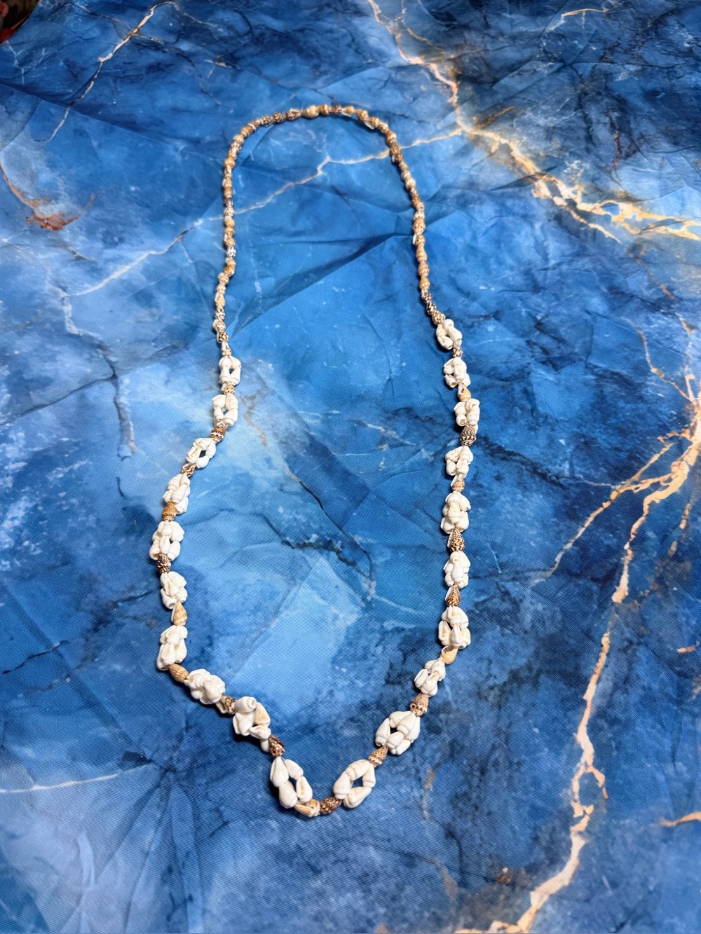 Seashell Necklace